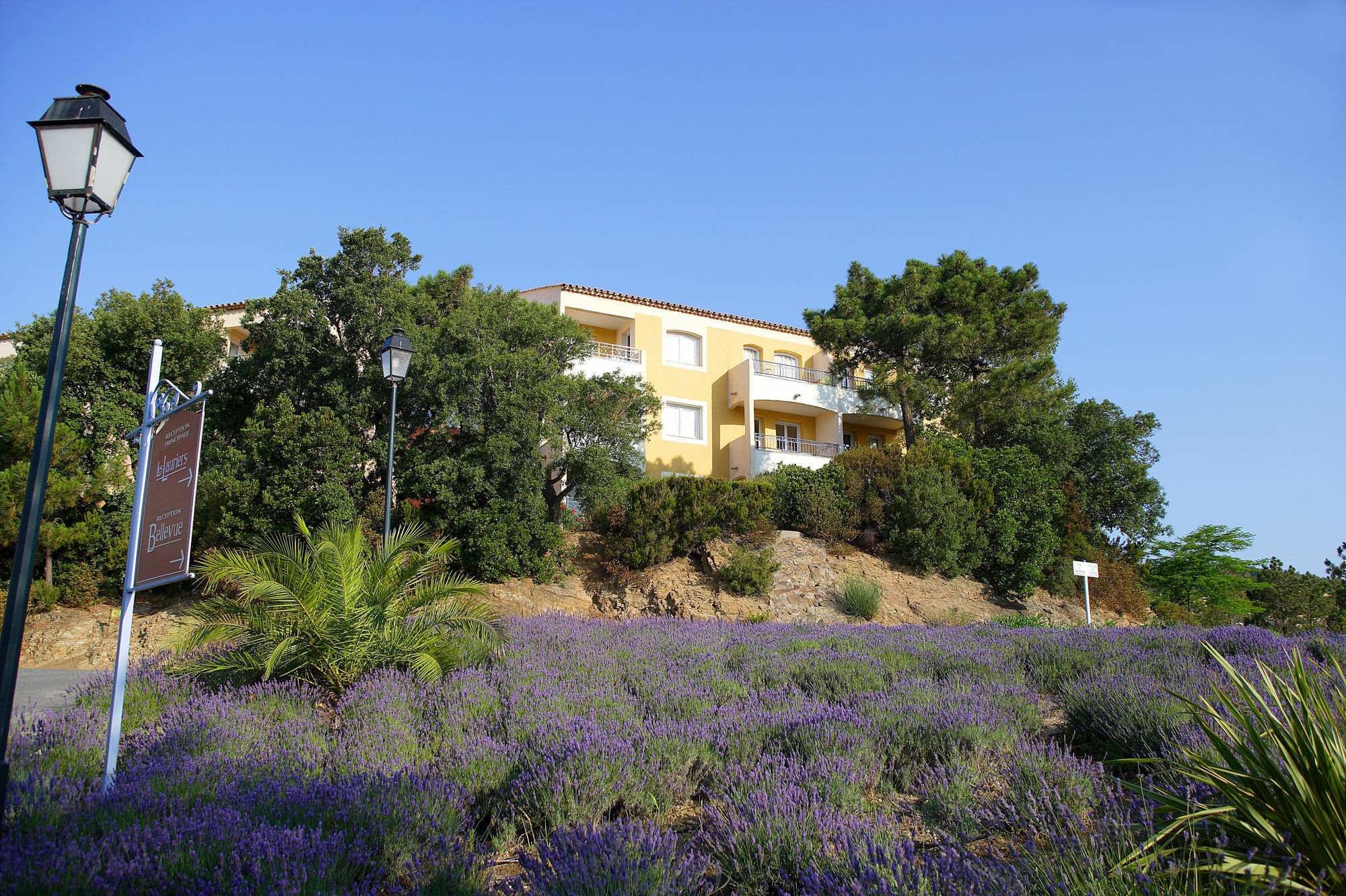 Residence Pierre & Vacances Les Terrasses Des Issambres لي إيسامبر المظهر الخارجي الصورة